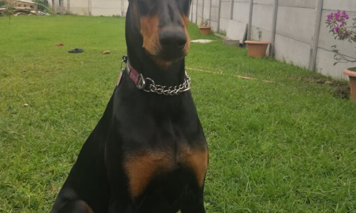 Algunos tips para usted